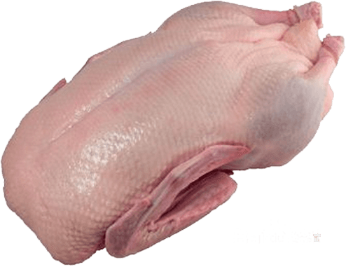 Raw Clean Dressed Duck — K.S. Broilers